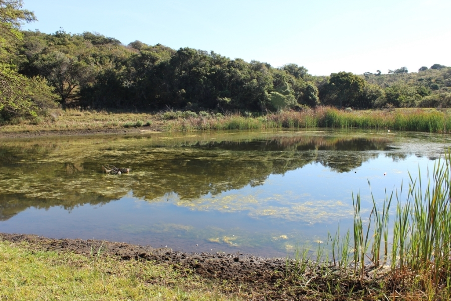 0 Bedroom Property for Sale in Khamanga Bay Eastern Cape